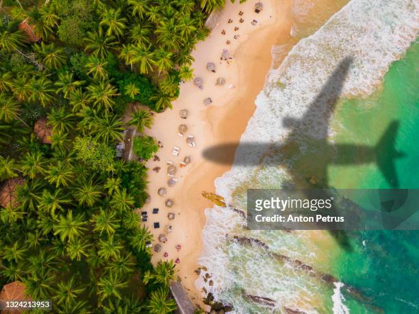 airplane silhouette over a tropical beach with palm trees. travel and resort vacation concept - flights photos et images de collection