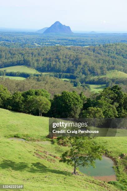 view over green countryside towards the glass house mountains. - glass house mountains - fotografias e filmes do acervo