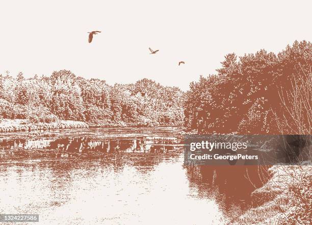 stockillustraties, clipart, cartoons en iconen met wilderness river and forest with great blue herons - red pine