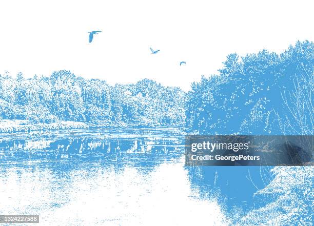 wilderness river and forest with great blue herons - minnesota nature stock illustrations