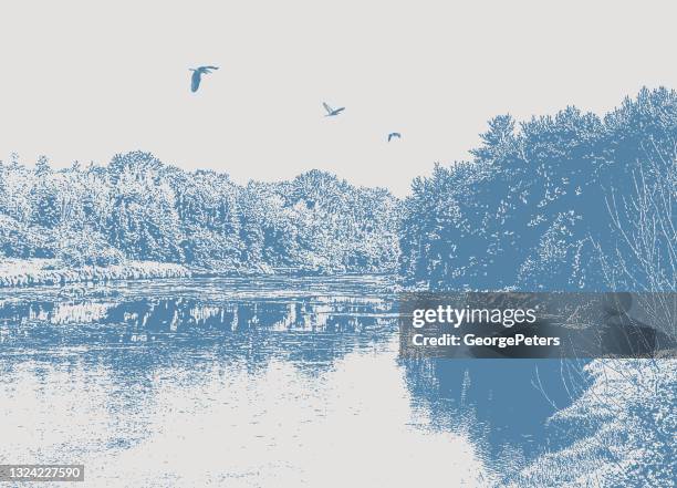 illustrazioni stock, clip art, cartoni animati e icone di tendenza di fiume e foresta selvaggia con grandi aironi blu - airone