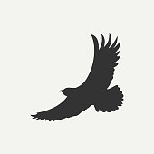 Eagle icon. Logo template. Bird of predator. Vector