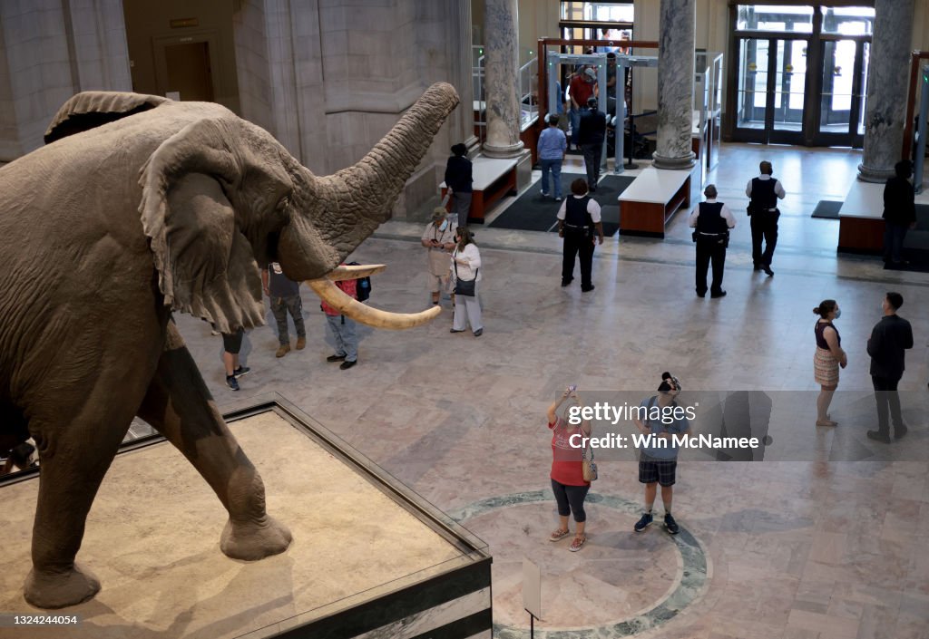 Smithsonian Museum Of Natural History Reopens After Closure During COVID-19 Pandemic