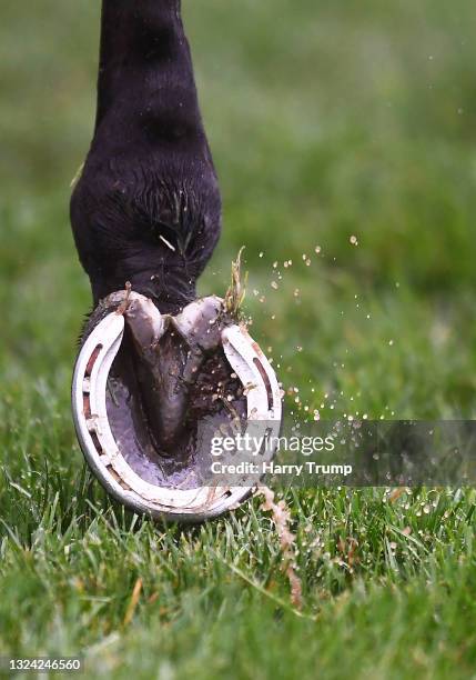 Detailed view of a horse shoe as water falls on Day Four of the Royal Ascot Meeting at Ascot Racecourse on June 18, 2021 in Ascot, England. A total...