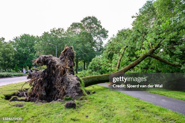 Storm damage after a heavy summer thunderstorm on June 18, 2021 in Kampen, The Netherlands. Trees fell down on roads and houses and parked cars...