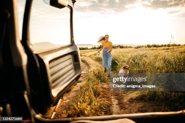 wir laufen zusammen - auto natur stock-fotos und bilder