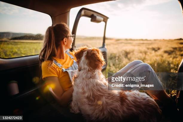 i like to travel everywhere with you - dog adventure stock pictures, royalty-free photos & images
