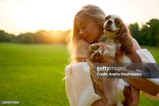 portrait of beautiful young woman dancing on meadow with her dog. - cavalier king charles spaniel stock-fotos und bilder