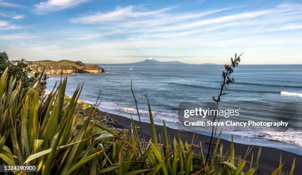 view from mokau - região de taranaki imagens e fotografias de stock