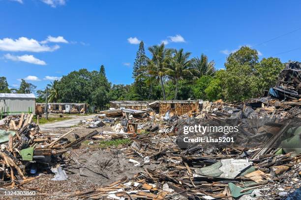 Understanding Environmental Impact Mitigation for Florida Projects