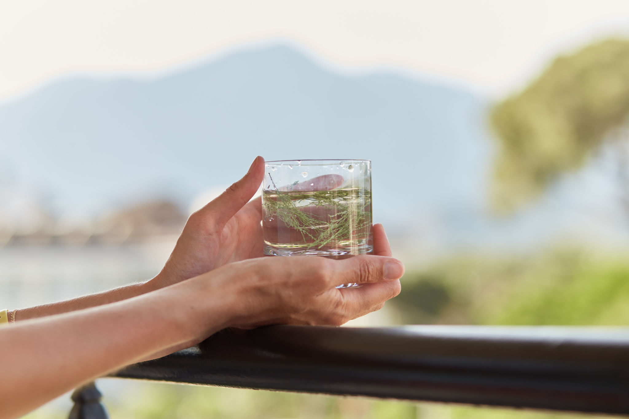 sustainable cocktails
