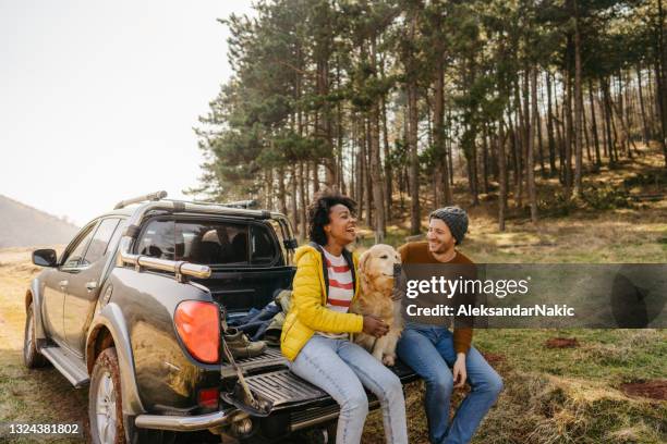 on a road trip with our dog - happy couple relax stock pictures, royalty-free photos & images