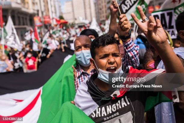 Child with the flag of the Sahrawi Arab Democratic Republic, during a demonstration for the freedom of the Sahrawi People, in Gran Via, on 19 June,...