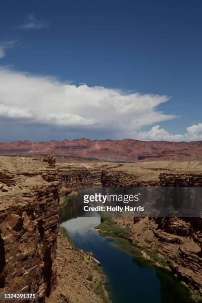 view of colorado river from navajo bridge - grand canyon stock-fotos und bilder