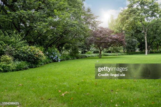 lawn surrounded by greenery by west lake, hangzhou, china - giardino domestico foto e immagini stock