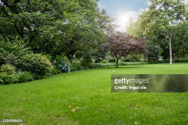 lawn surrounded by greenery by west lake, hangzhou, china - garden stock pictures, royalty-free photos & images