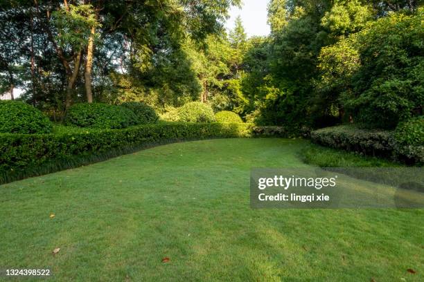lawn surrounded by greenery by west lake, hangzhou, china - formal garden foto e immagini stock