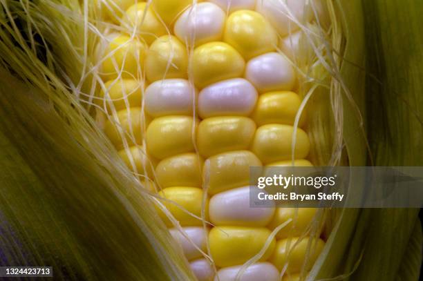 sweet corn on the cob - corn on black stockfoto's en -beelden