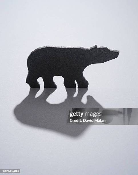 bear with a bull shaped shadow. - börsenbaisse stock-fotos und bilder