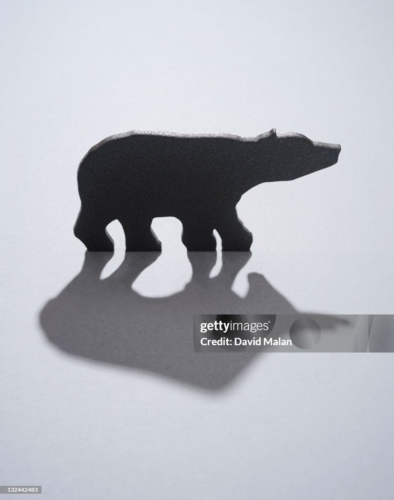 Bear with a bull shaped shadow.