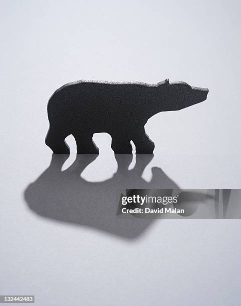 bear with a bull shaped shadow. - bear market stock pictures, royalty-free photos & images