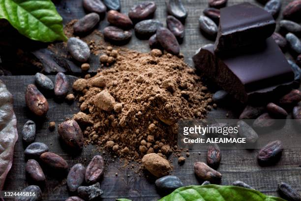 composición del cacao - polvo de cacao fotografías e imágenes de stock