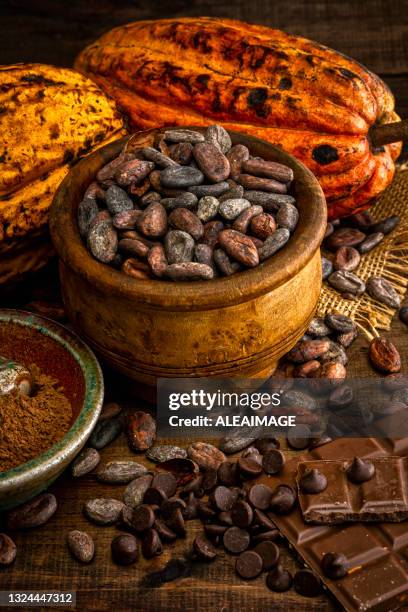 cocoa composition - cacao bean stock pictures, royalty-free photos & images