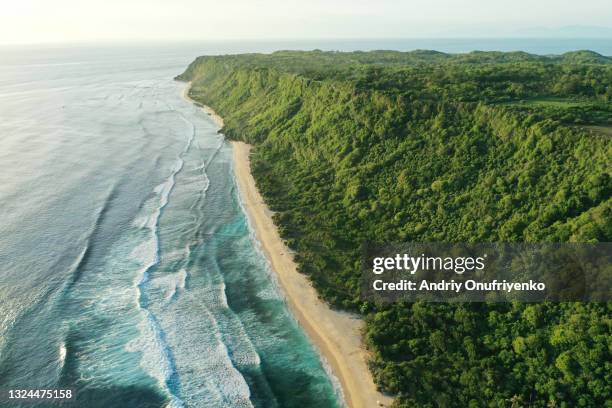 tropical beach from above - bali stock pictures, royalty-free photos & images