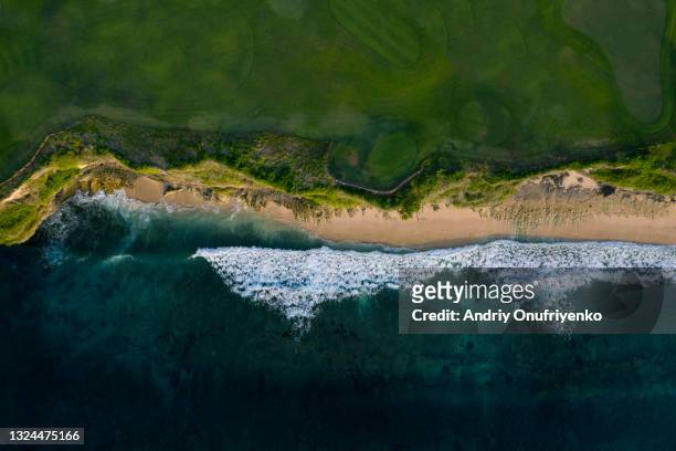 tropical beach from above - costa caratteristica costiera foto e immagini stock