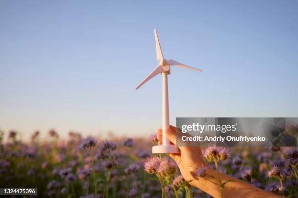 hand holding wind turbine prototype model miniature. - hand holding flower stock-fotos und bilder