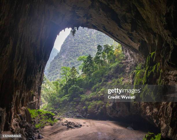 entrance to hang en cave in vietnam - hang en cave stock pictures, royalty-free photos & images
