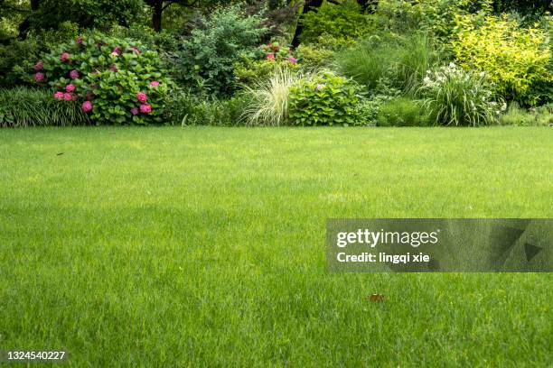 greenbelt by the west lake in hangzhou, china - front garden stock pictures, royalty-free photos & images