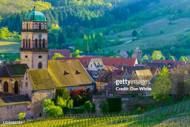 alsace region of france - alsatian stock pictures, royalty-free photos & images