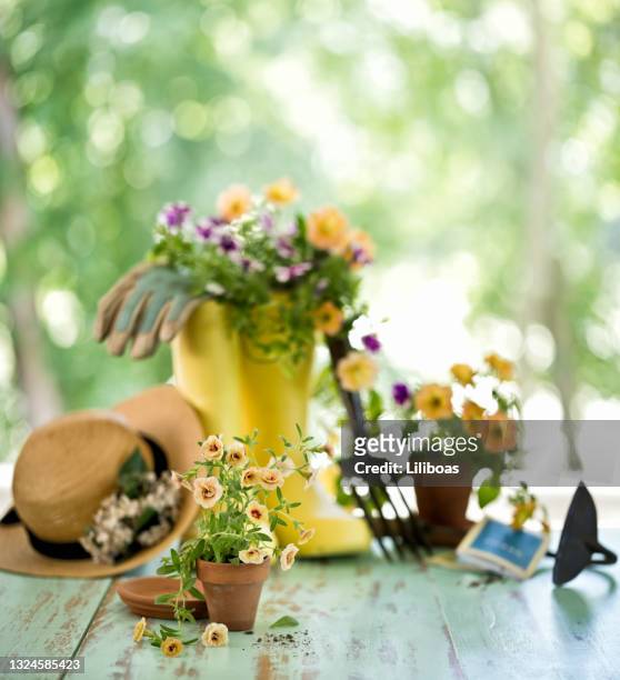 gartenausrüstung und frühlingsblumen hintergrund - garten tragekorb stock-fotos und bilder