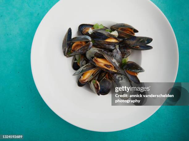 cooked mussels - se stock pictures, royalty-free photos & images