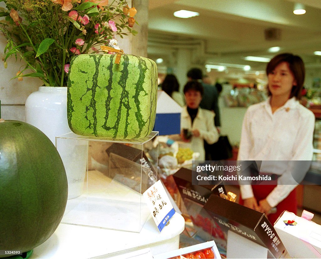 Japan''s Square Watermelons