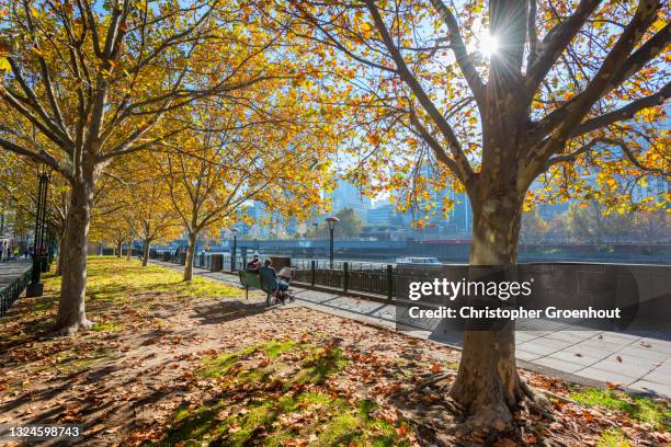 southbank promenade by the yarra river, melbourne - groenhout melbourne stock pictures, royalty-free photos & images