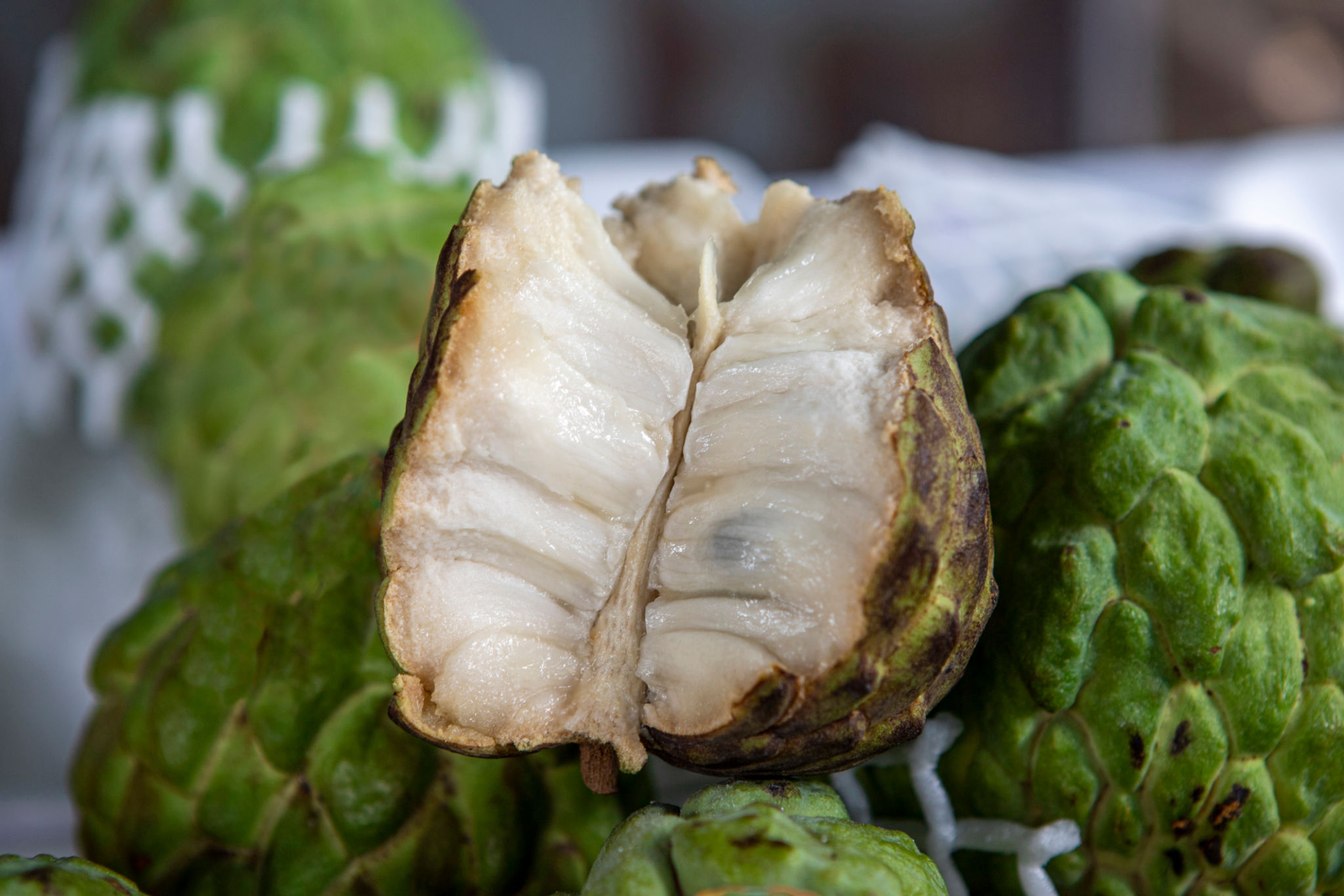 graviola fruta