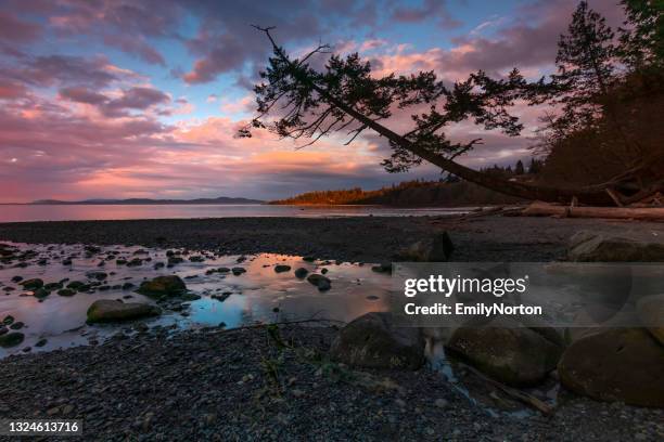 puesta de sol en la isla de vancouver - vancouver island fotografías e imágenes de stock