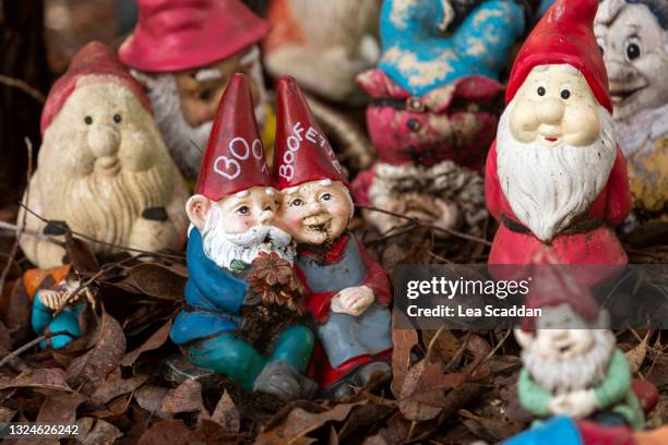 gnomesville - gnome collection stock pictures, royalty-free photos & images