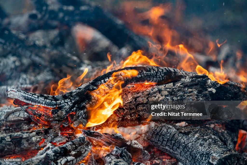 Close-up of Fire Exploding and Blaze fire flame of forest fire.