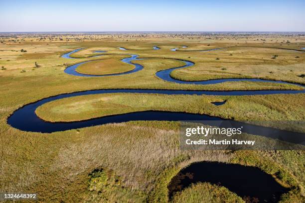 spectacular aerial view of the beautiful scenic curving patterned waterways and lagoons of the okavango delta - okavango delta imagens e fotografias de stock