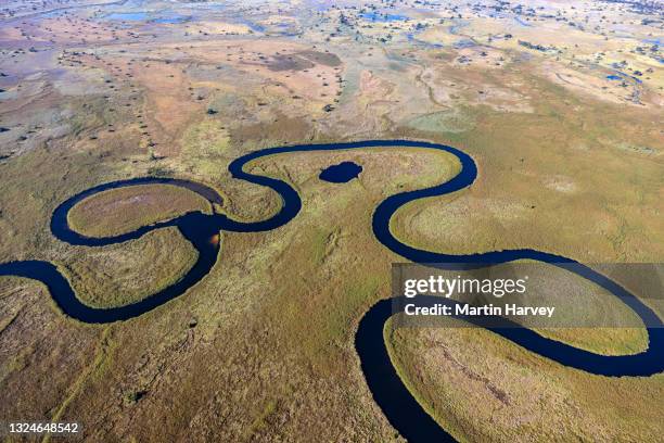 spectacular aerial view of the beautiful scenic curving patterned waterways and lagoons of the okavango delta - okavango delta stock pictures, royalty-free photos & images