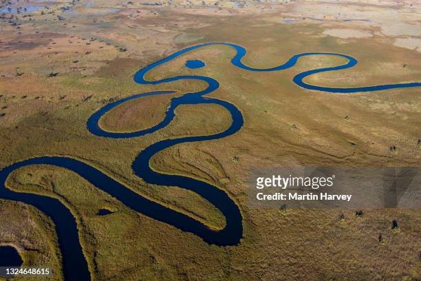 spectacular aerial view of the beautiful scenic curving patterned waterways and lagoons of the okavango delta - okavango delta stock pictures, royalty-free photos & images