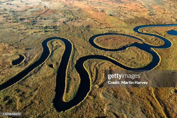 spectacular aerial view of the beautiful scenic curving patterned waterways and lagoons of the okavango delta - okavango delta stock pictures, royalty-free photos & images