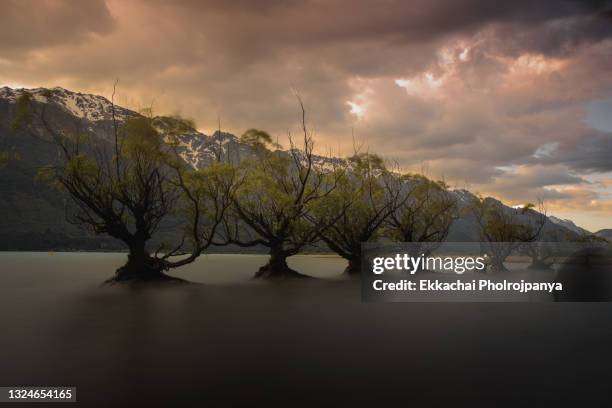 panoramic view nature landscape in south island new zealand - the remarkables ストックフォトと画像