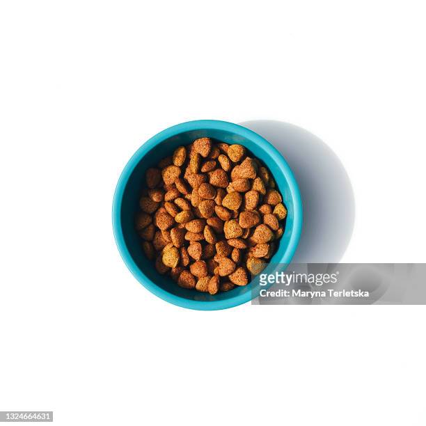 bowl for an animal with food isolated on a white background. - blue bowl stock-fotos und bilder