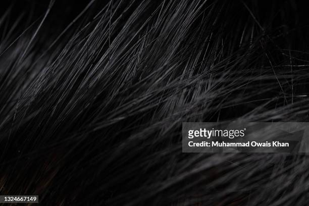 full frame shot of woman hair - black hair stock pictures, royalty-free photos & images