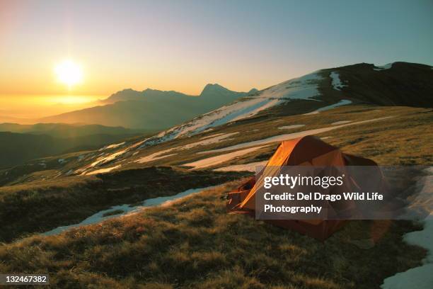 rinascere - parco nazionale del gran sasso e monti della laga stock pictures, royalty-free photos & images