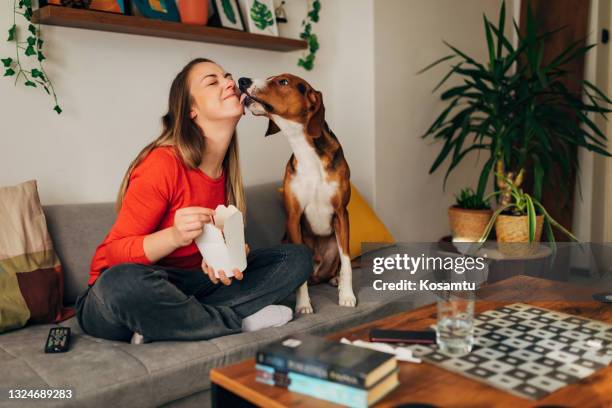 grateful hound dog licking his female owner on the checks after she gave him a bite a morsel of her take out food - excited dog stockfoto's en -beelden